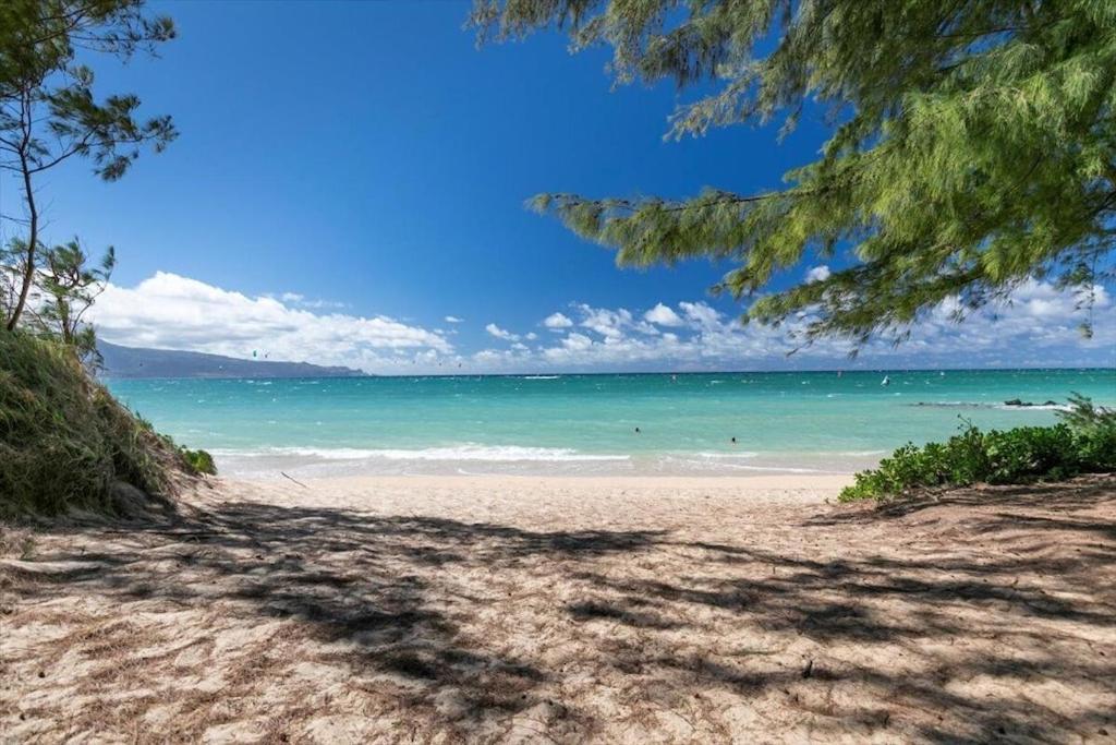 Unit 19 Maui Ohana Modern Studio Wailuku Dış mekan fotoğraf