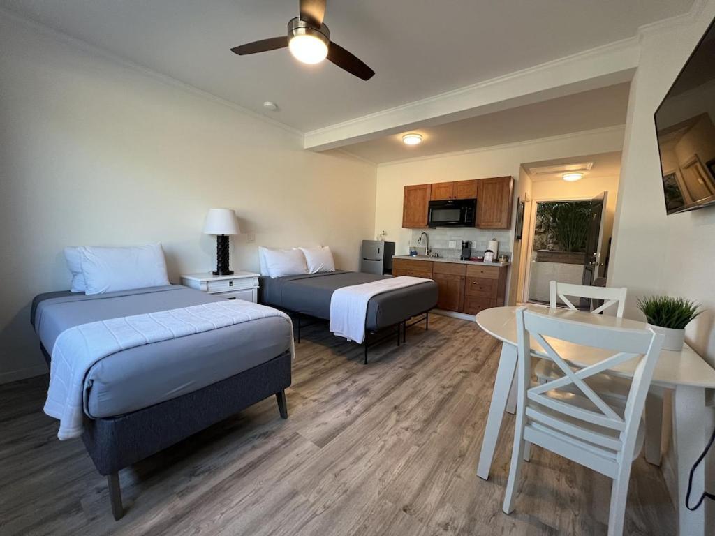 Unit 19 Maui Ohana Modern Studio Wailuku Dış mekan fotoğraf