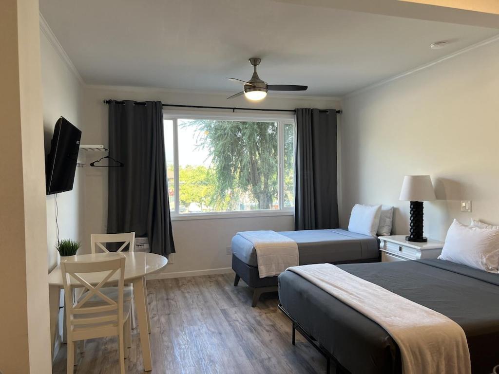 Unit 19 Maui Ohana Modern Studio Wailuku Dış mekan fotoğraf